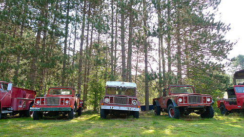 forest fire vehicles
