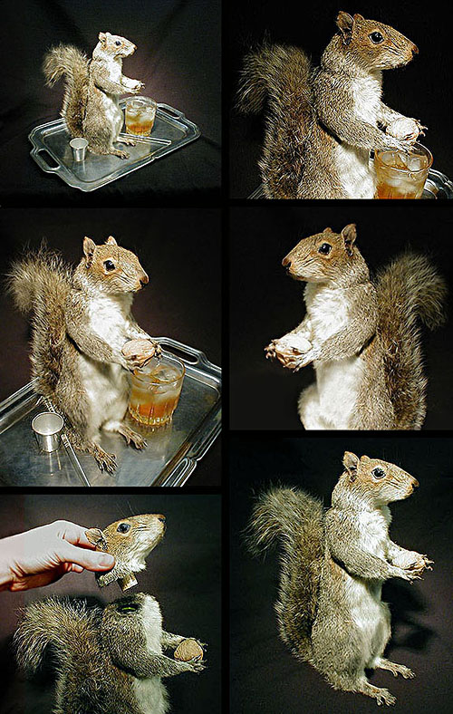 Liquor decanting Squirrel from Custom Creature Taxidermy Arts