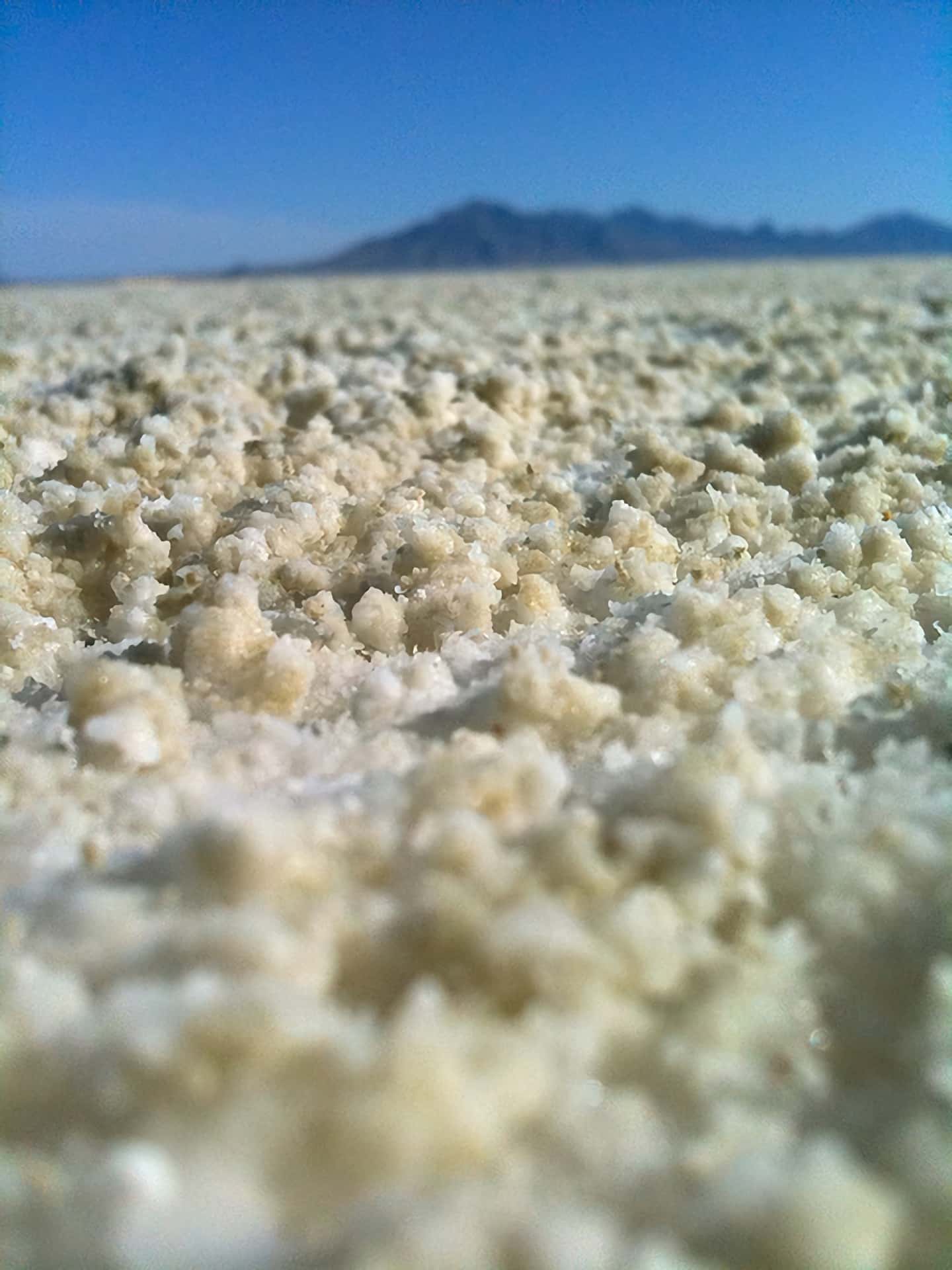 Salt Flats. Source.