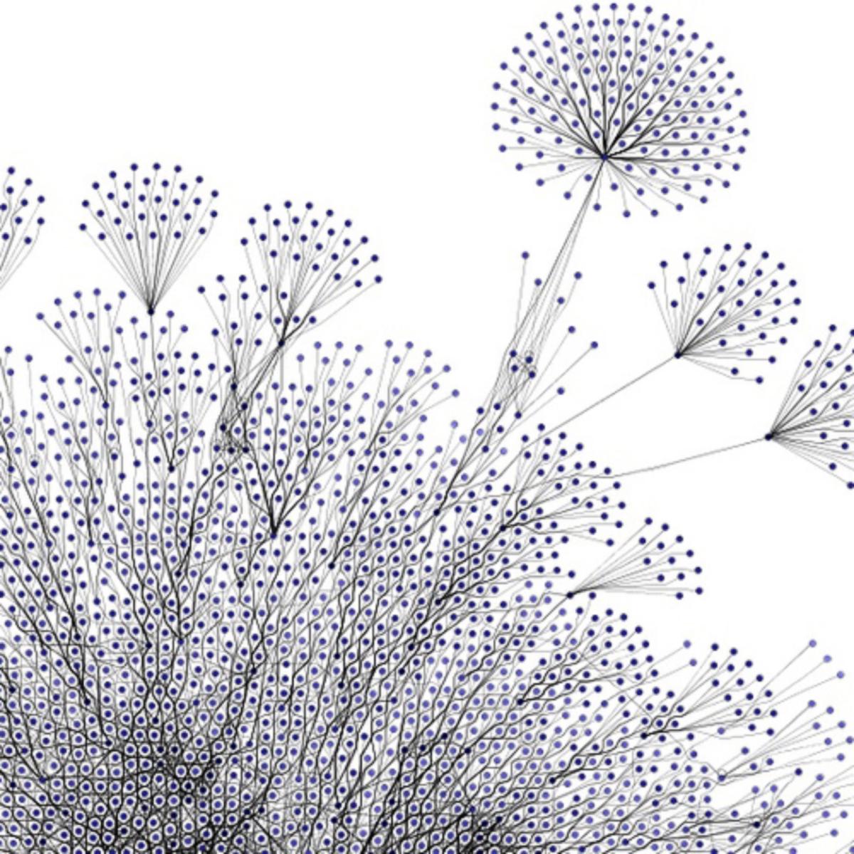 Visual Complexity · MaisonBisson