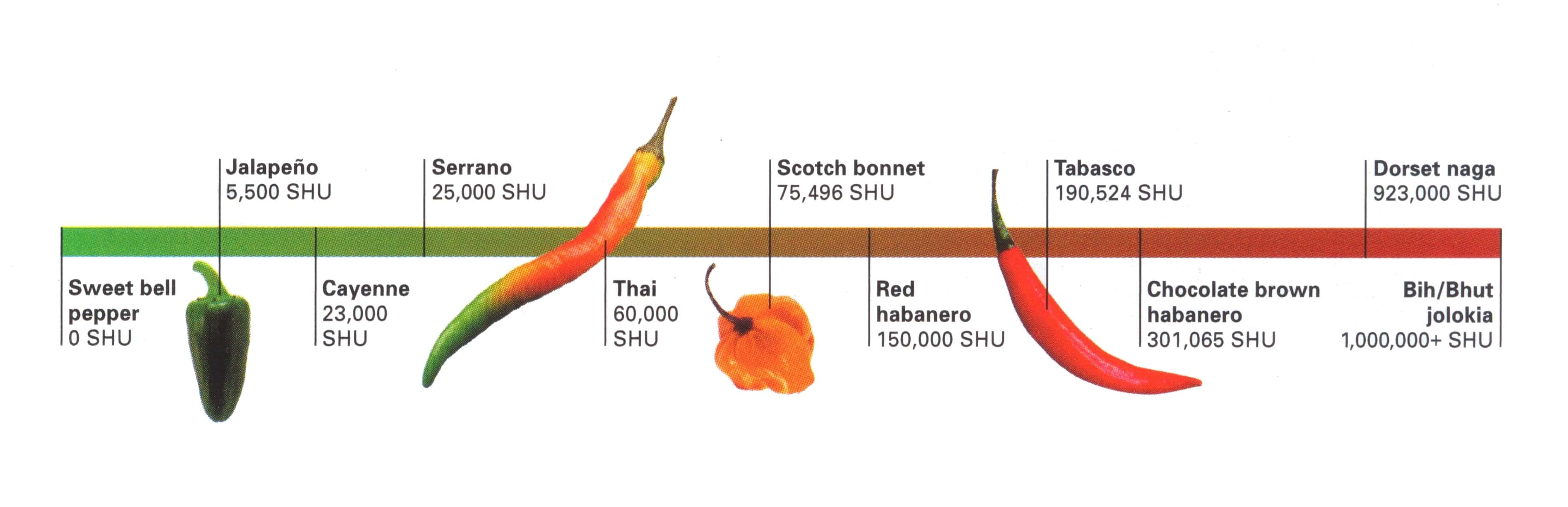 Hot peppers of the world.