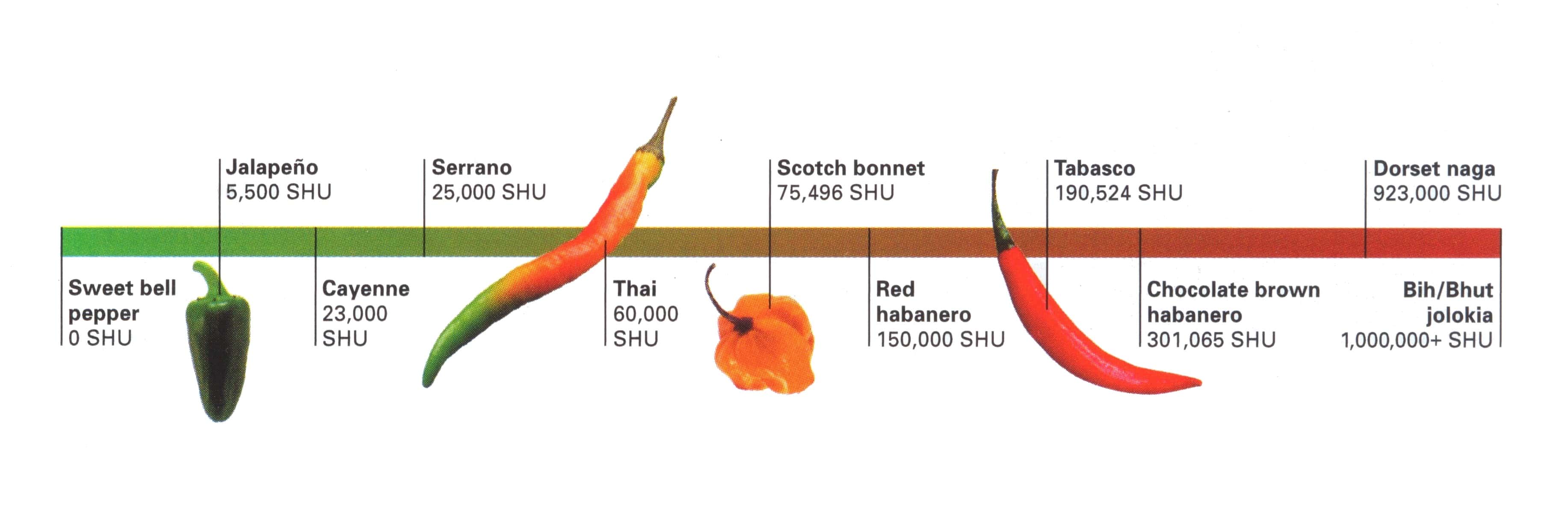 В чем измеряется острота. Перец Naga Jolokia шкала Сковилла. Шкала Сковилла лук. Bhut Jolokia шкала Сковилла. Капсаицин в продуктах.